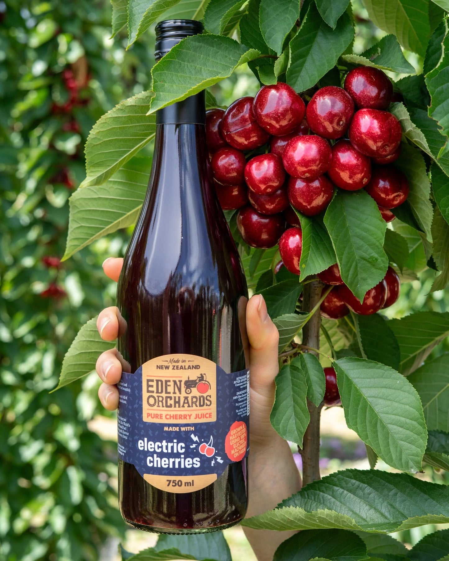 Electric Cherries 100% Pure Cherry Juice – 6 x 750ml