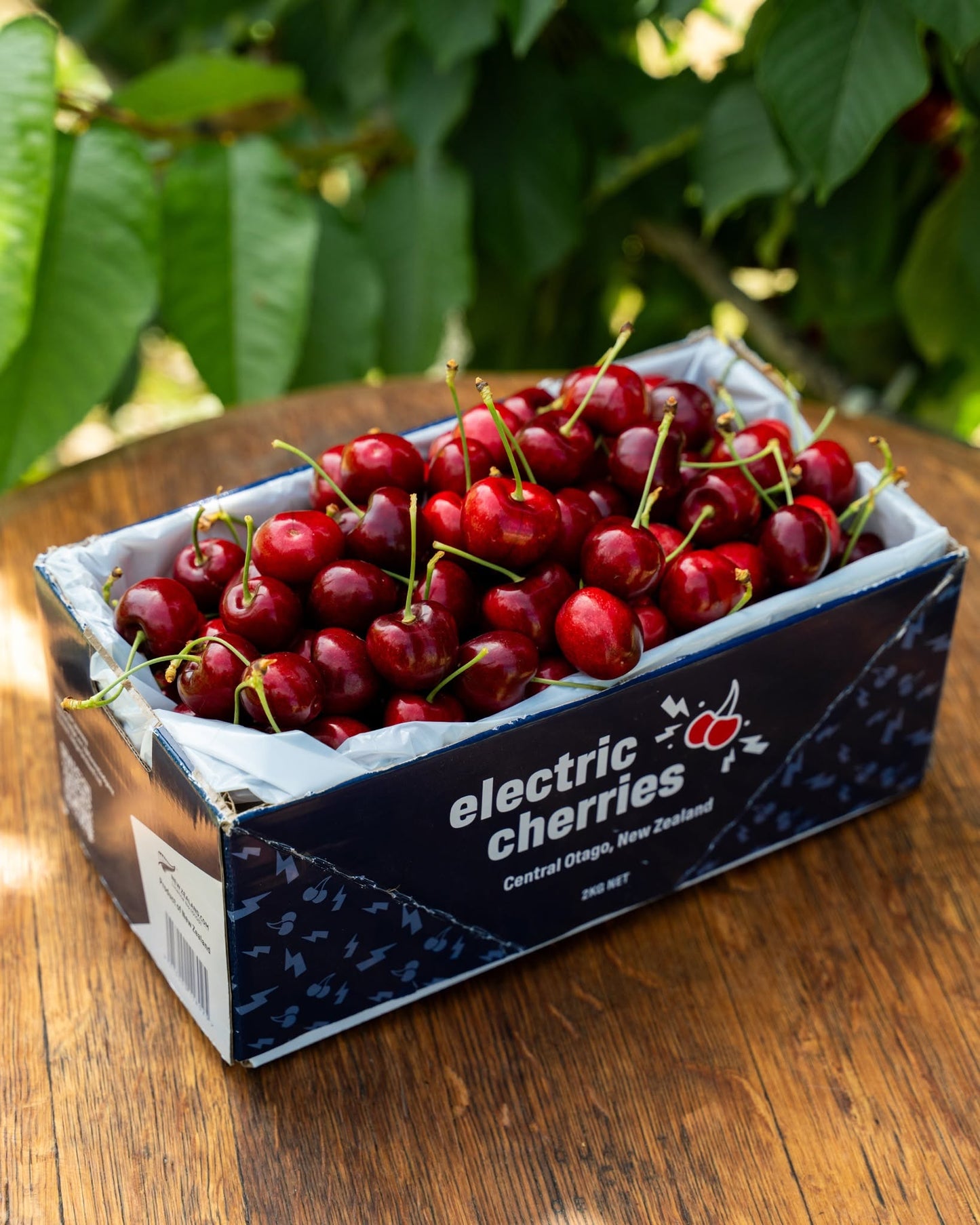 Electric Cherries Gift Card