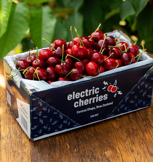 Red Electric Cherries grown in Cromwell, Central Otago